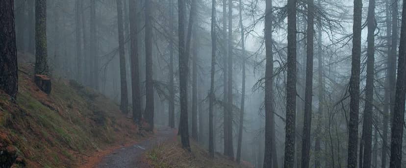 Unauth title MShoTVTE